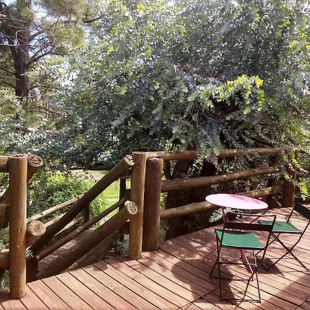 Cabanas Del Uru Colón Екстериор снимка