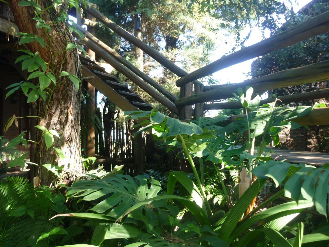 Cabanas Del Uru Colón Екстериор снимка